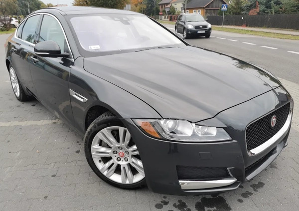 Jaguar XF cena 83900 przebieg: 81600, rok produkcji 2016 z Wyśmierzyce małe 67